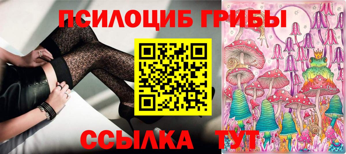 где купить наркоту  Псилоцибиновые грибы MAGIC MUSHROOMS  Псилоцибиновые грибы Magic Shrooms  Вход с VPN  Осинники 